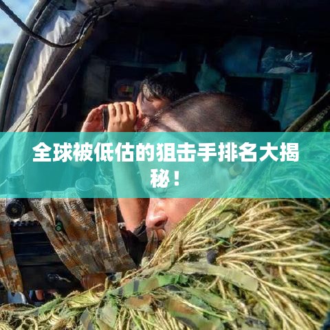全球被低估的狙击手排名大揭秘！