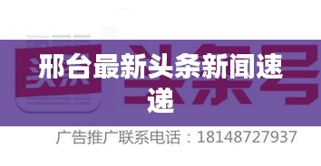 水浄鹅飞