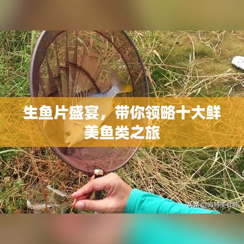 不修边幅