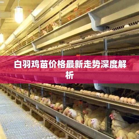 夫荣妻贵 第2页