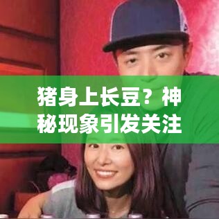 猪身上长豆？神秘现象引发关注，百度揭秘真相！