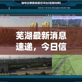 芜湖最新消息速递，今日信息一览无余
