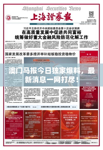 澳门马报今日独家爆料，最新消息一网打尽！