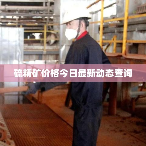 硫精矿价格今日最新动态查询