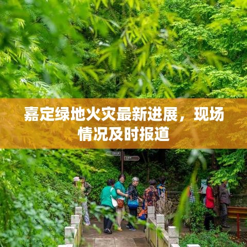 嘉定绿地火灾最新进展，现场情况及时报道