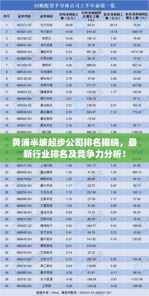 黄浦半坡起步公司排名揭晓，最新行业排名及竞争力分析！