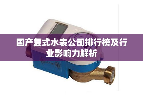国产复式水表公司排行榜及行业影响力解析