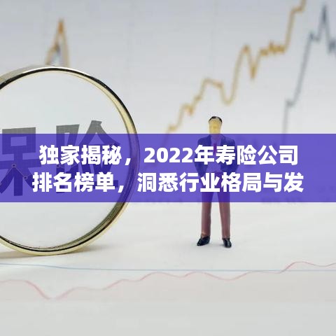 独家揭秘，2022年寿险公司排名榜单，洞悉行业格局与发展趋势