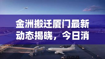 金洲搬迁厦门最新动态揭晓，今日消息全解析