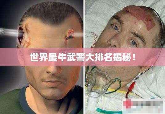 世界最牛武警大排名揭秘！