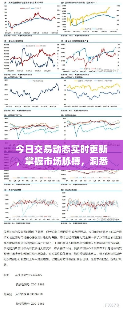 今日交易动态实时更新，掌握市场脉搏，洞悉交易走势，不容错过！