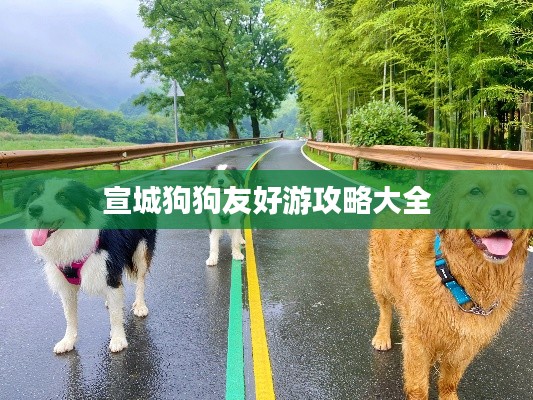 宣城狗狗友好游攻略大全
