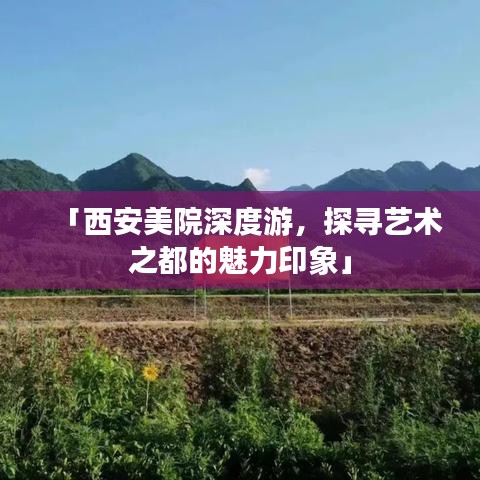 「西安美院深度游，探寻艺术之都的魅力印象」