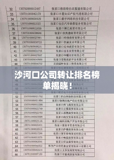 沙河口公司转让排名榜单揭晓！