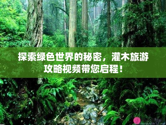 探索绿色世界的秘密，灌木旅游攻略视频带您启程！