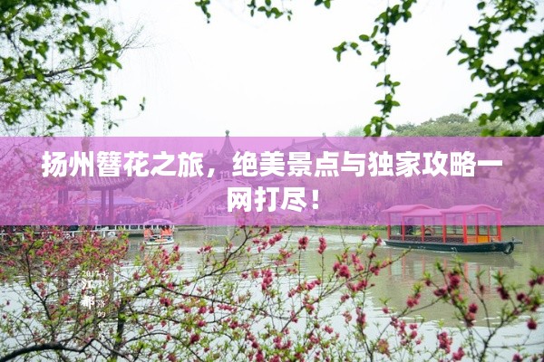 扬州簪花之旅，绝美景点与独家攻略一网打尽！