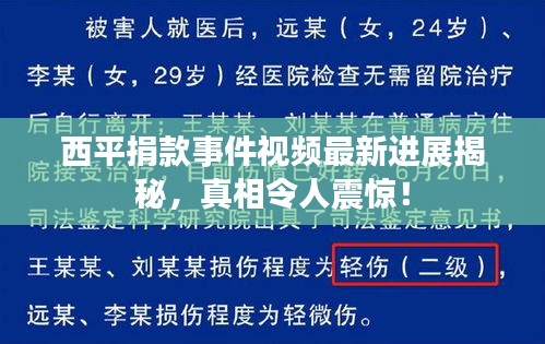 西平捐款事件视频最新进展揭秘，真相令人震惊！