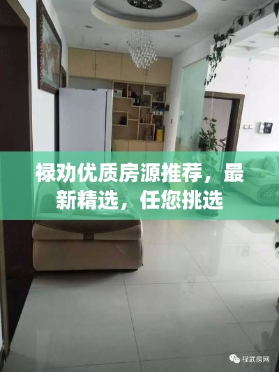 禄劝优质房源推荐，最新精选，任您挑选