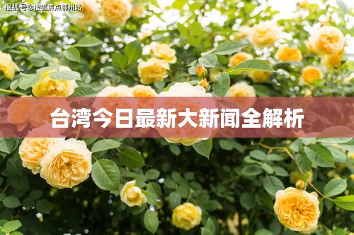 台湾今日最新大新闻全解析
