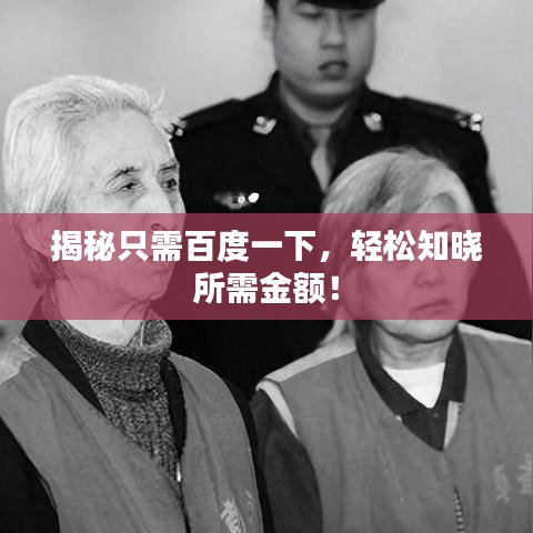 揭秘只需百度一下，轻松知晓所需金额！