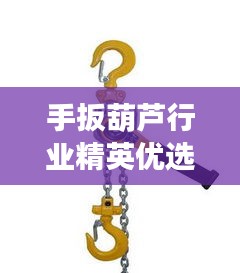 手扳葫芦行业精英优选工具TOP10排名揭晓！