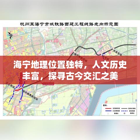 鸟语蝉鸣