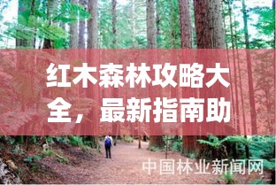 红木森林攻略大全，最新指南助你畅游无阻！