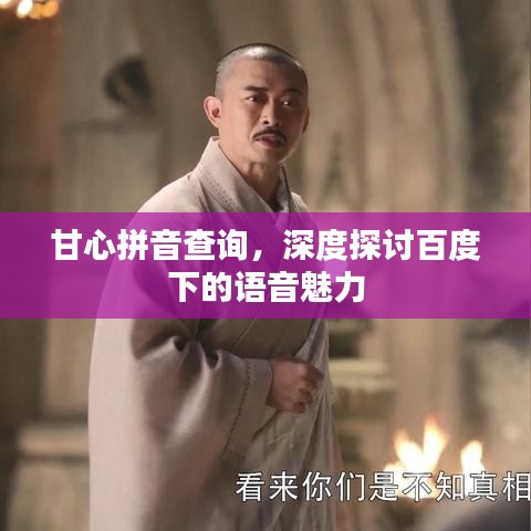 甘心拼音查询，深度探讨百度下的语音魅力