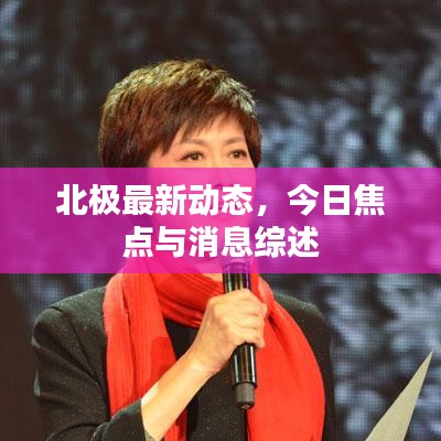 北极最新动态，今日焦点与消息综述