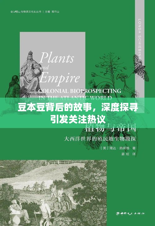豆本豆背后的故事，深度探寻引发关注热议