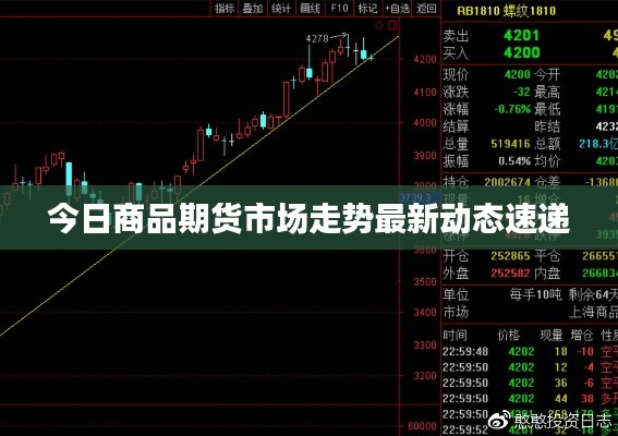 今日商品期货市场走势最新动态速递