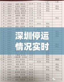 深圳停运情况实时更新，最新消息一览
