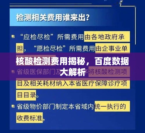 核酸检测费用揭秘，百度数据大解析