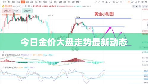 今日金价大盘走势最新动态