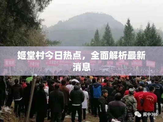姬堂村今日热点，全面解析最新消息