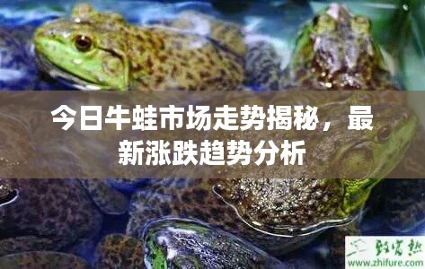 今日牛蛙市场走势揭秘，最新涨跌趋势分析