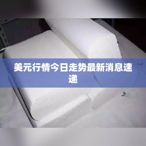 美元行情今日走势最新消息速递