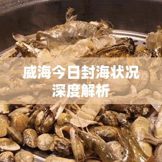 威海今日封海状况深度解析