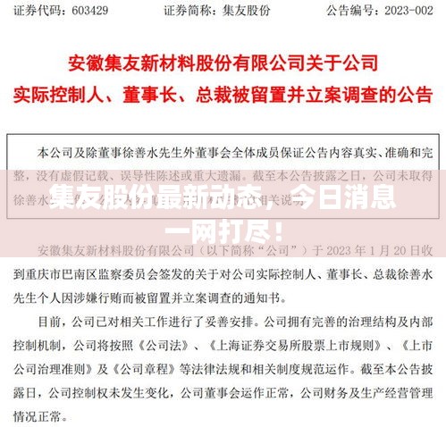 集友股份最新动态，今日消息一网打尽！
