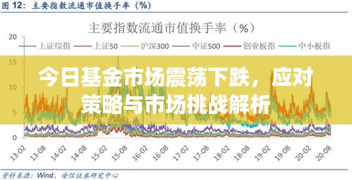 今日基金市场震荡下跌，应对策略与市场挑战解析