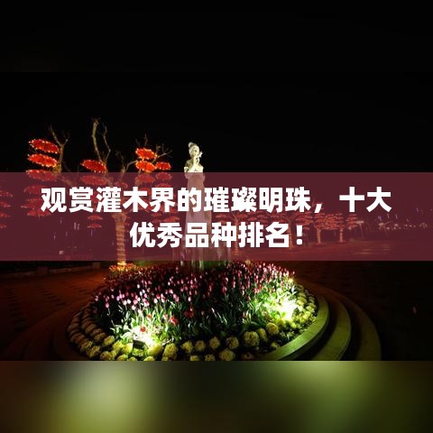 观赏灌木界的璀璨明珠，十大优秀品种排名！