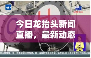 今日龙抬头新闻直播，最新动态一网打尽