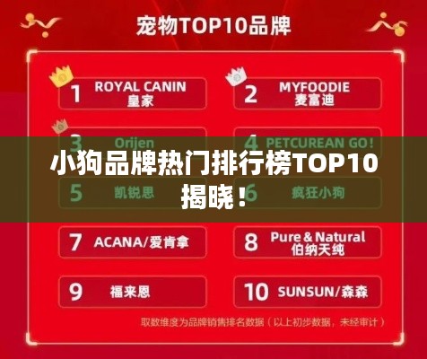 小狗品牌热门排行榜TOP10揭晓！