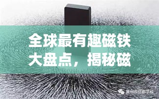 全球最有趣磁铁大盘点，揭秘磁铁魅力排名！