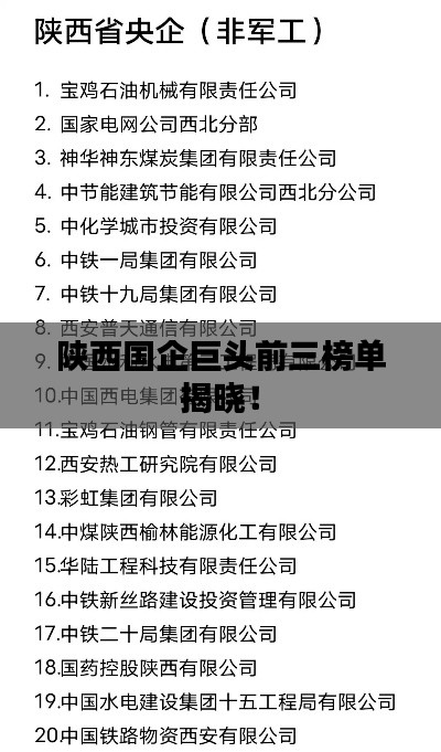 陕西国企巨头前三榜单揭晓！