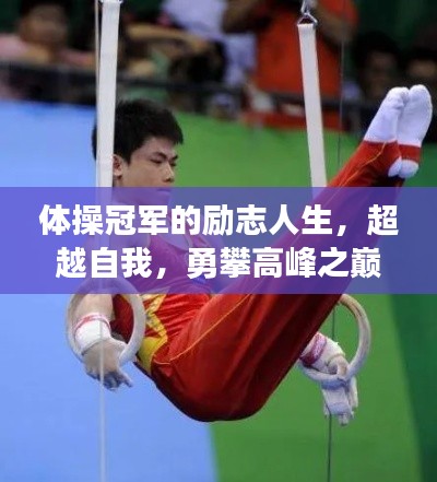 体操冠军的励志人生，超越自我，勇攀高峰之巅