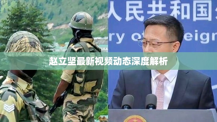 赵立坚最新视频动态深度解析