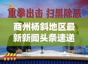 商州杨斜地区最新新闻头条速递