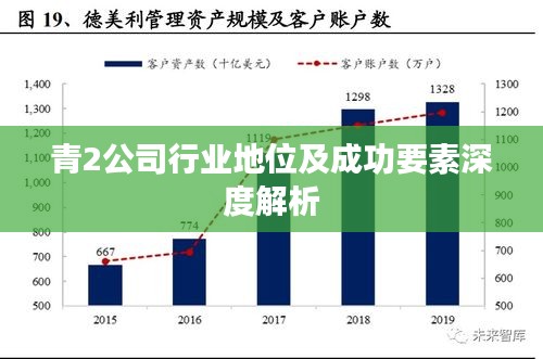 青2公司行业地位及成功要素深度解析