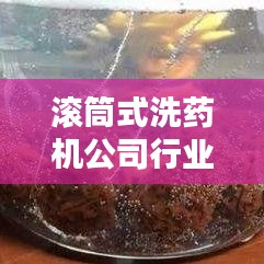 滚筒式洗药机公司行业排名大揭秘！